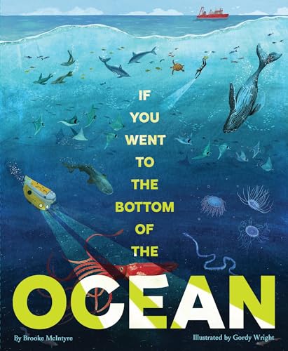 If You Went to the Bottom of the Ocean (Hardcover)