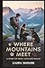Where Mountains Meet by Laura Shouse