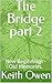The Bridge part 2: New Begi...