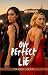 Our Perfect Lie