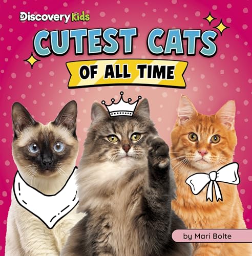 Cutest Cats of All Time (Cutest of All Time)