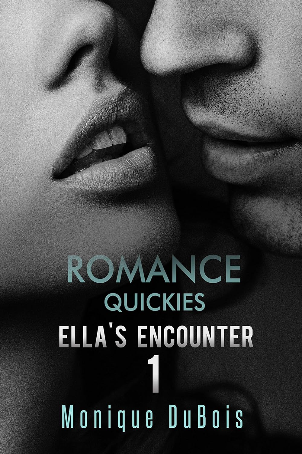 Ella's Encounter - 1 (Romance Quickies #1)