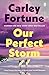 Our Perfect Storm by Carley Fortune