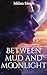 Between mud and Moonlight by Milan Singh