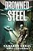 Drowned Steel by Cameron Coral