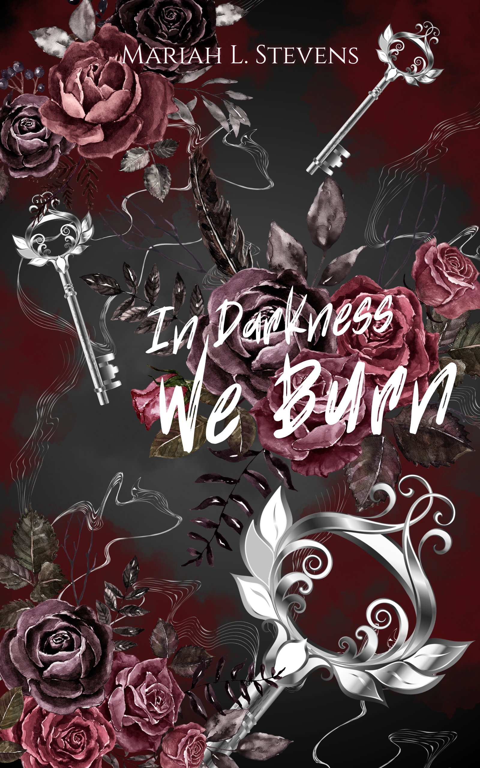 In Darkness We Burn