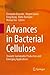 Advances in Bacterial Cellulose: Towards Sustainable Production and Emerging Applications
