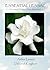 ESSENTIAL LESSAC: Honoring ...