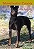 Manchester Terrier by Peter Bohrmann