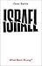 Israel: What Went Wrong?: Orwell Prize for Political Writing Finalist 2026