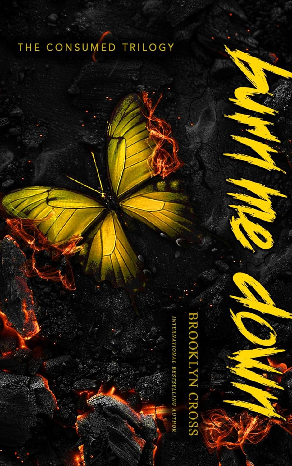 Burn Me Down (The Consumed Trilogy #3)