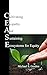 C.E.A.S.E. for Equity by Michael S. Gordon