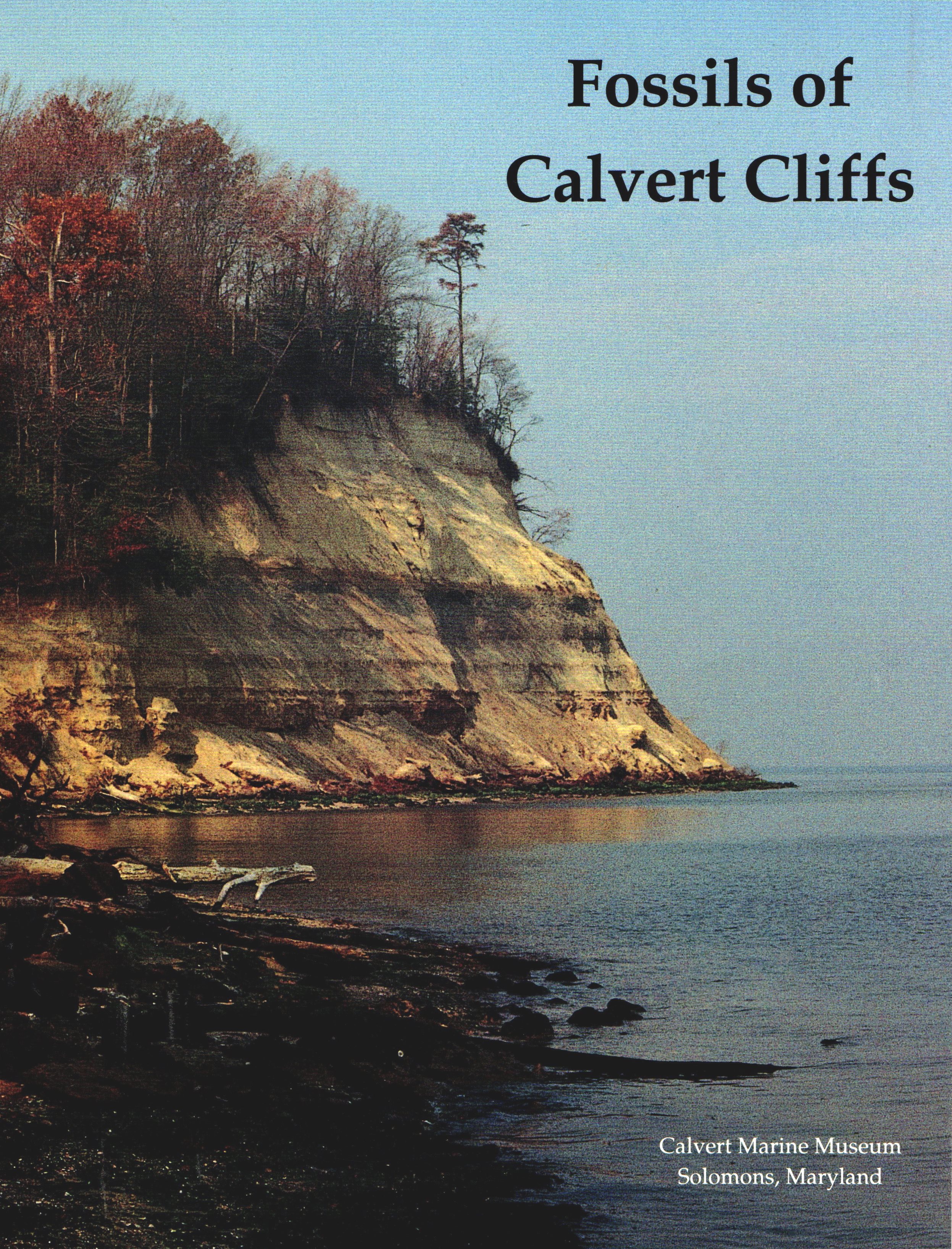 Fossils of Calvert Cliffs (Paperback)