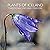 Plants of Iceland: Traditio...
