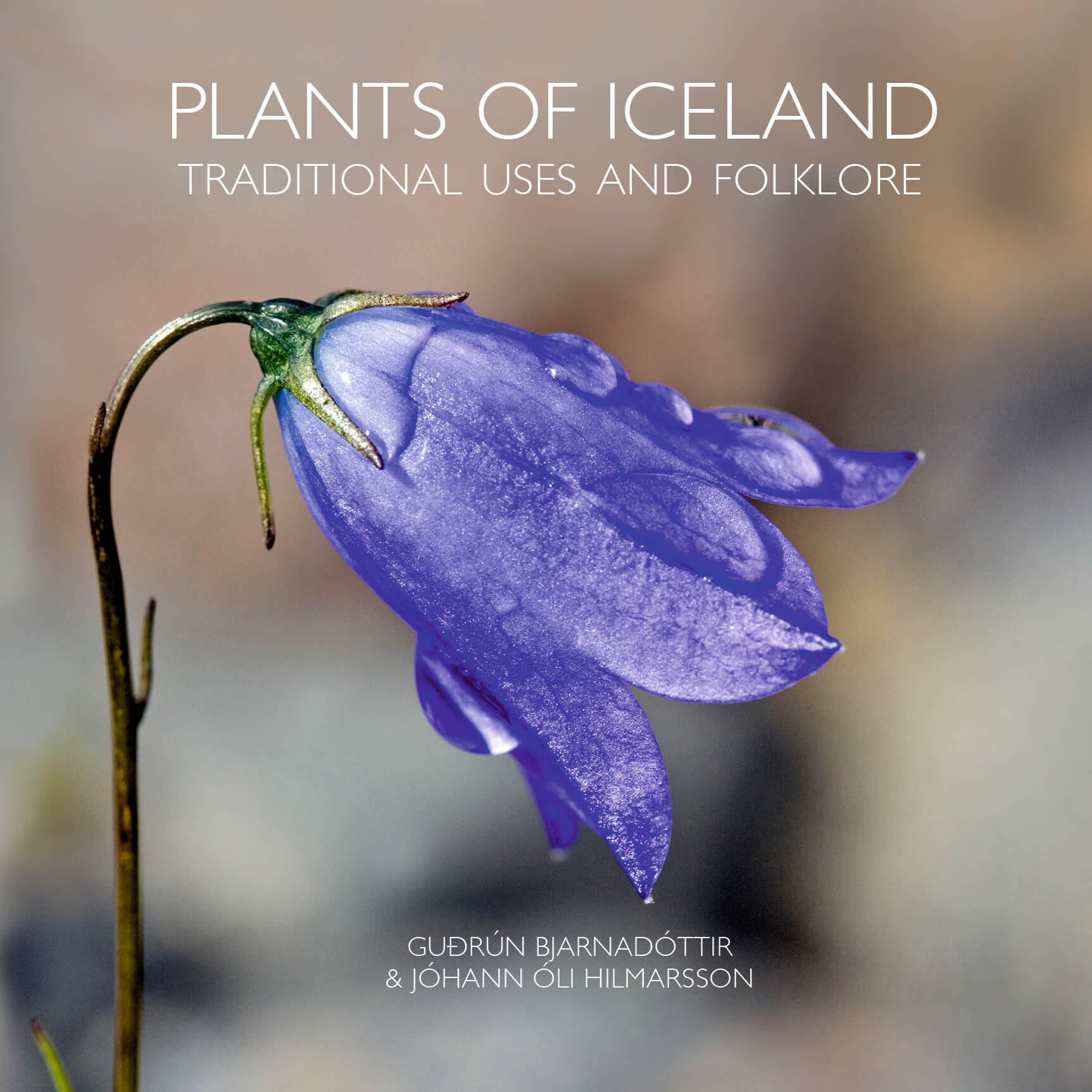 Plants of Iceland: Traditional Uses and Folklore (Hardcover)