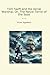 Tom Swift and His Aerial Wa...