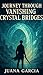 Journey Through Vanishing C...