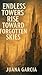 Endless Towers Rise Toward ...