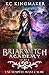 Briarwitch Academy 4 by KC Kingmaker