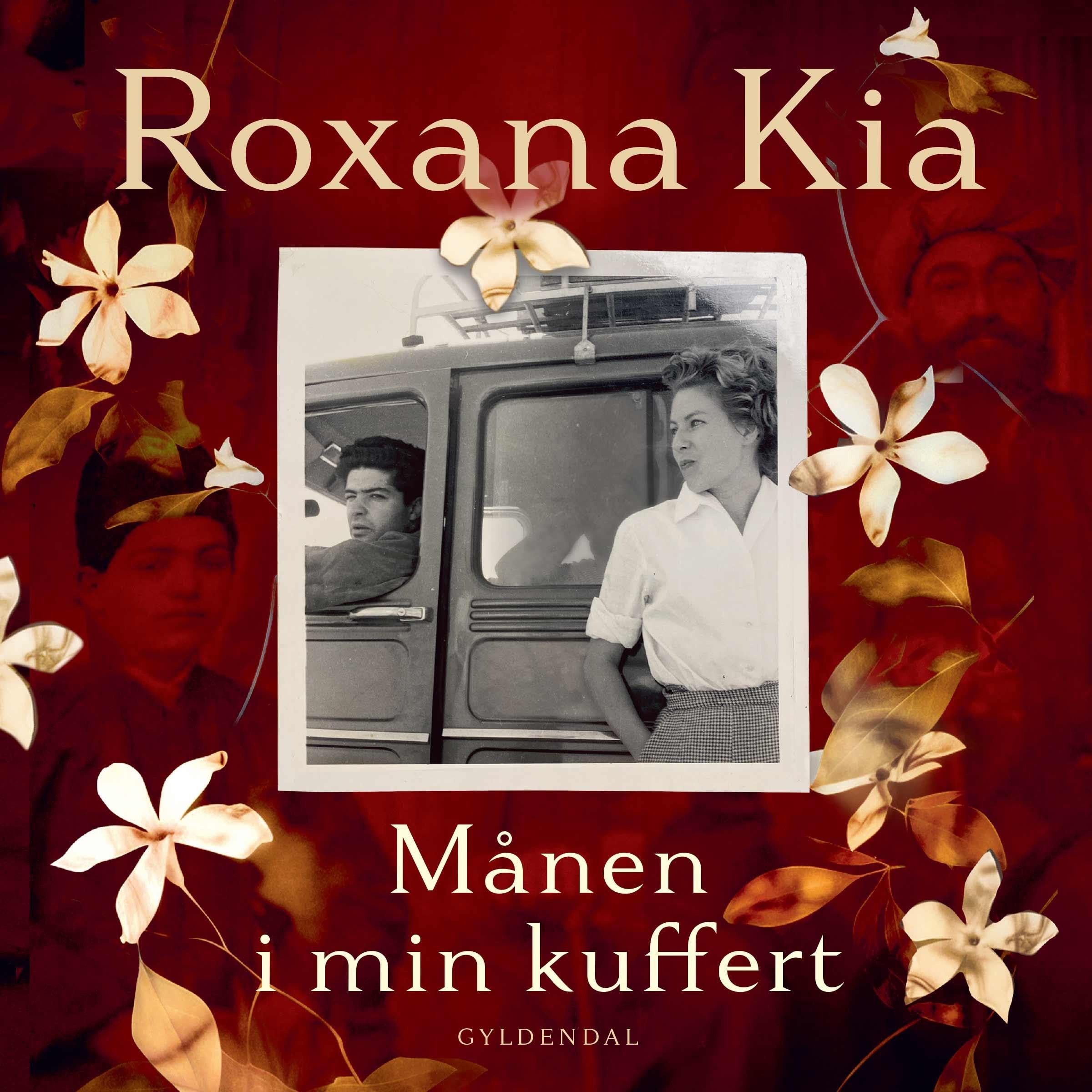 Månen i min kuffert (Audiobook)