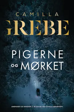 Pigerne og mørket (Flickorna och Mörkret, #7)
