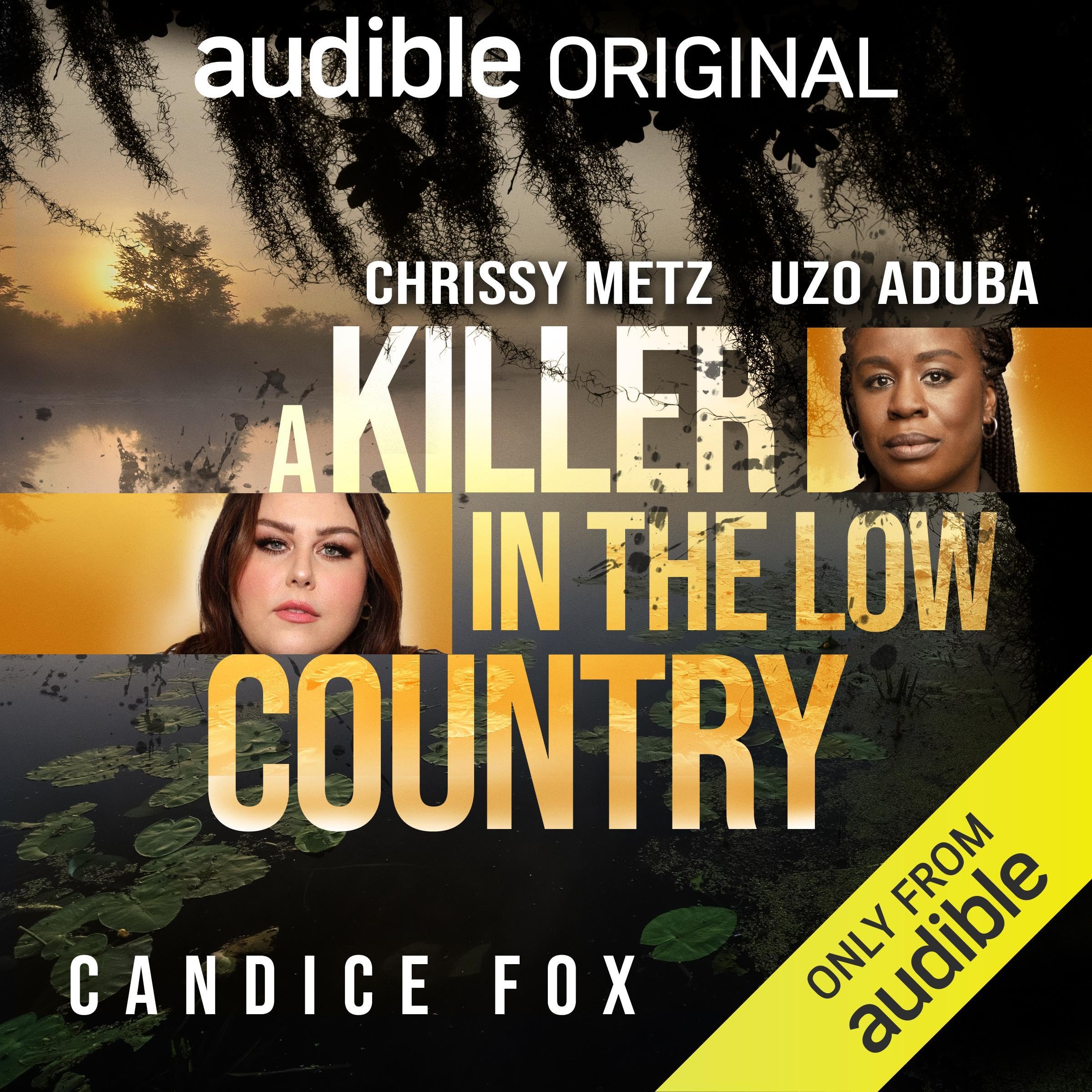A Killer in the Low Country (Audible Audio)