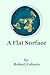 A Flat Surface