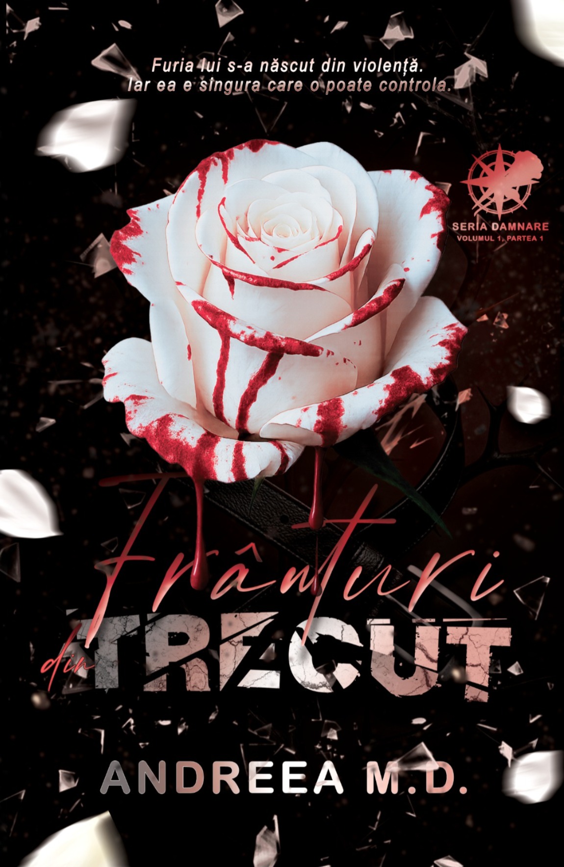 Frânturi din Trecut (Damnare, #1)