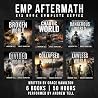 EMP Aftermath: Si...