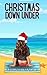 Christmas Down Under (The Friend Group Collection Book 2)