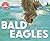 Bald Eagles