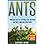 Ants: Amazing Facts & Pictures for Children on These Amazing Creatures (Awesome Creature Series)