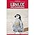 Beginning Linux Programming...