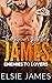 James (The Brewer Brothers #2)