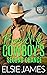 Brand Me, Cowboy's Second Chance by Elsie James