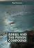 Adriel and the Prison Compound by Kay Peterson