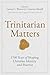 Trinitarian Matters: 1700 Years of Shaping Christian Identity and Practice