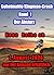 Der Absturz: Geheimakte Kingman-Crash (German Edition)