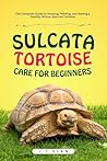 SULCATA TORTOISE ...