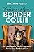 Understand Your Border Collie by Sarah Hedderly