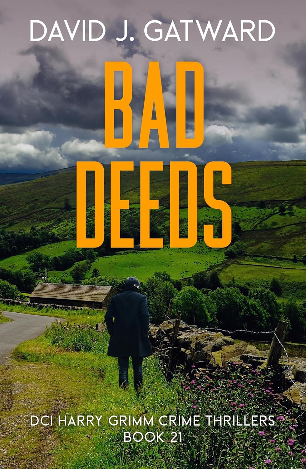 Bad Deeds (DCI Harry Grimm, #21)