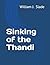 Sinking of the Thandi