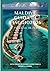 MALDIVE Guida di viaggio 20...