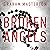 Broken Angels: Katie Maguire, Book 2