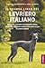 Il grande libro del Levriero Italiano by Candace Darnforth