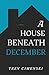 A House Beneath December by Trevor Cimenski