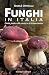 Funghi in Italia by Nicolò Oppicelli