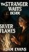 The Stranger Waits Beside S...