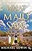 WHAT THE MAID SAW by Michael Edwin Q.