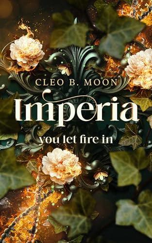 IMPERIA: you let fire in (German Edition)
